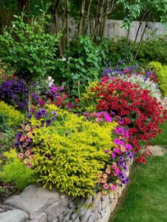 Norman Winter/Norman Winter/TNS