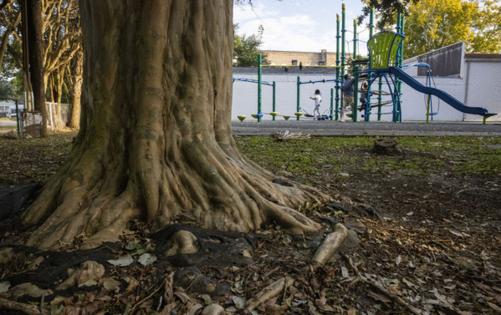 Christiana Botic/KFF HEALTH NEWS/TNS