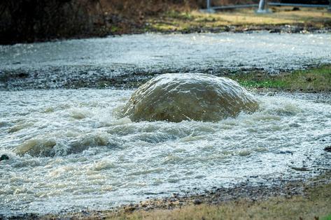 Raw sewage flows out of the ground and into the Potomac River on Jan. 23, 2026.
              AP Photo/Cliff Owen