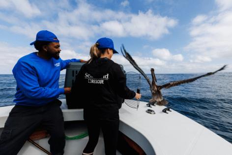 Kristian Carreon/The San Diego Union-Tribune/TNS