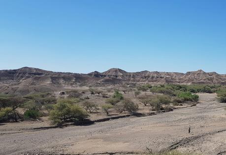 Ethiopia’s Afar Depression and Awash Valley, shaped by rifting and erosion, are among the world’s most important regions for fossil discoveries of human ancestors. Some of those fossils date back 3 million to 4 million years.
              Zelalem Bedaso