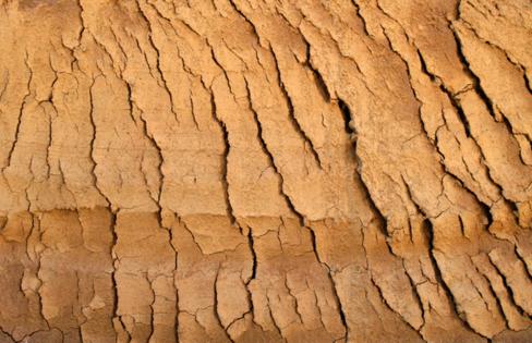 Dreamstime/Dreamstime/TNS