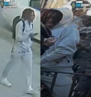 New York Police Department/New York Police Department/TNS