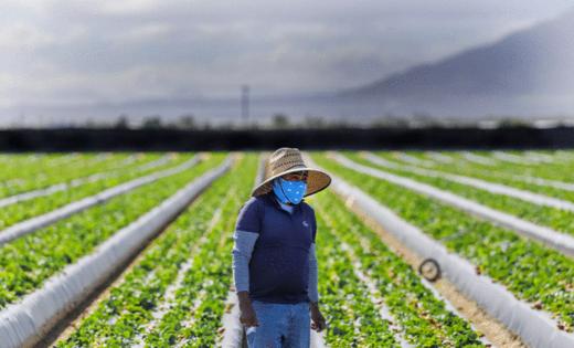 Gina Ferazzi/Los Angeles Times/TNS