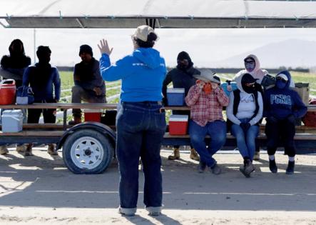 Gina Ferazzi/Los Angeles Times/TNS