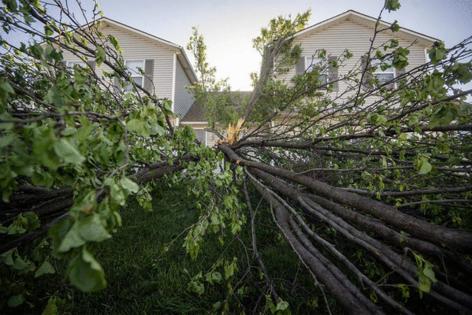 Tammy Ljungblad/Kansas City Star/TNS