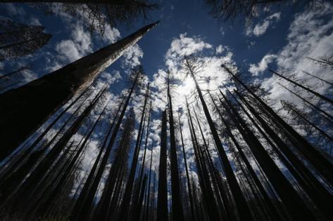 Robyn Beck/AFP/Getty Images North America/TNS