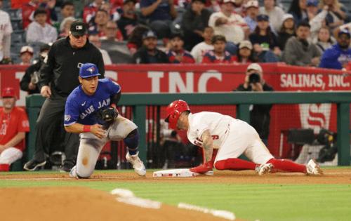 Joe Scarnici/Getty Images North America/TNS