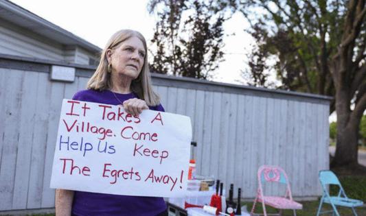 Abigail Dollins/Fort Worth Star-Telegram/TNS