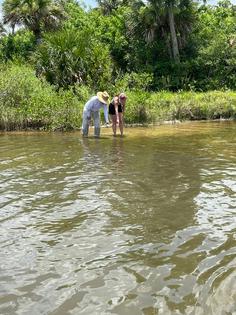 The authors wade into Mosquito Lagoon to track seagrass growth as they train their AI model.
              Captain William B. Wolfson, Grassroots Guide Service, New Smyrna Beach, FL