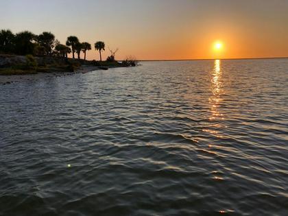 Seagrass has made an unexpected return to Mosquito Lagoon. Captain William B. Wolfson, Grassroots Guide Service, New Smyrna Beach, FL