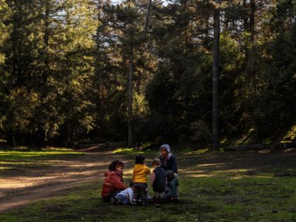 (Hiram Alejandro Durán/El Tímpano)/KFF HEALTH NEWS/TNS