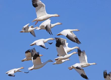 Dreamstime/Dreamstime/TNS