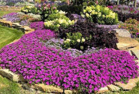 Handout/Norman Winter/TNS