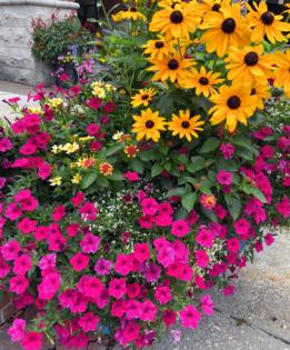 Handout/Norman Winter/TNS