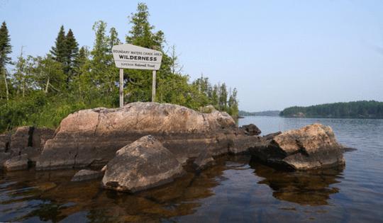 Anthony Souffle/The Minnesota Star Tribune/TNS