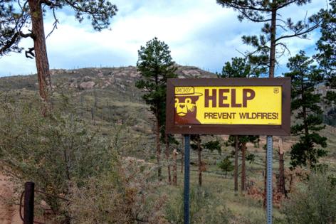 Brad Sauter/Dreamstime/Dreamstime/TNS