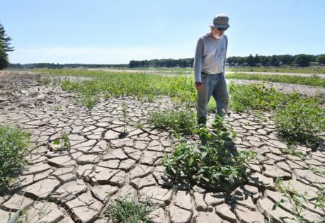 Max Ortiz/The Detroit News/TNS