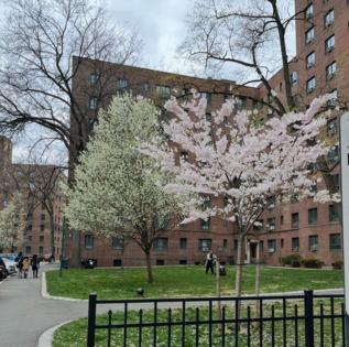 Robbie Sequeira/Stateline/TNS