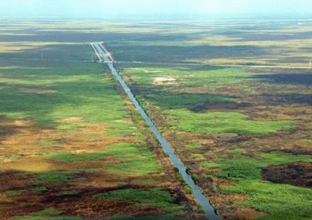 Carl Juste/Miami Herald/TNS