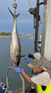 Matt Stone/Boston Herald/TNS