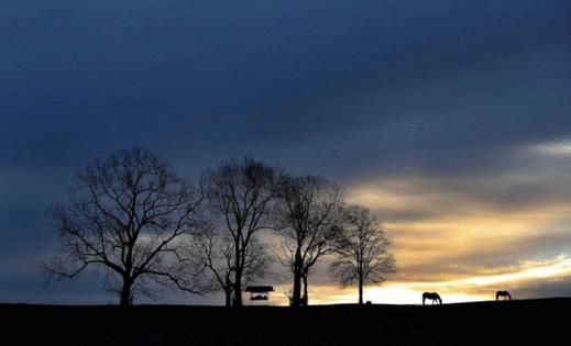 Charles Bertram/Lexington Herald-Leader/TNS