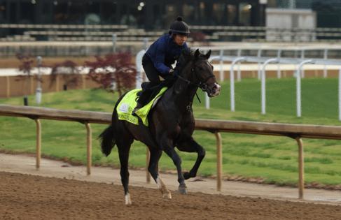 Andy Lyons/Getty Images North America/TNS