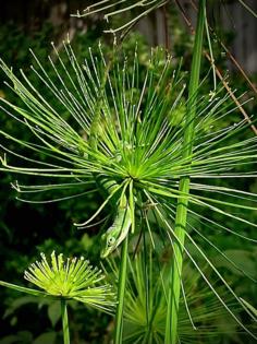 Norman Winter/Norman Winter/TNS