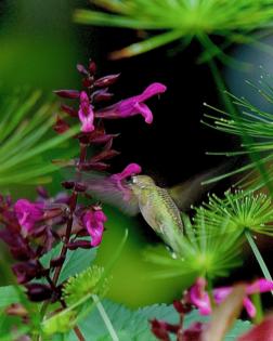 Norman Winter/Norman Winter/TNS