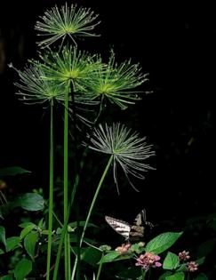 Norman Winter/Norman Winter/TNS