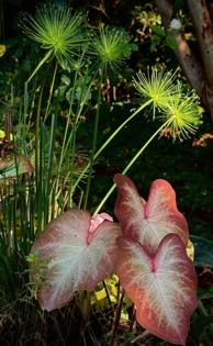 Norman Winter/Norman Winter/TNS