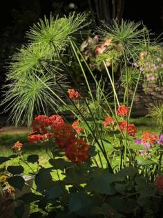 Norman Winter/Norman Winter/TNS