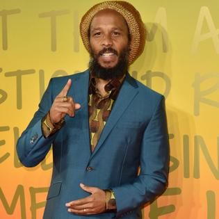 Bang Showbiz / Ziggy Marley sang the theme song for Arthur