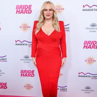 Bang Showbiz / Rebel Wilson is set to become a mom again
