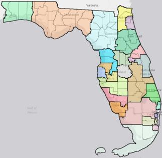 The Florida Senate/TNS/TNS