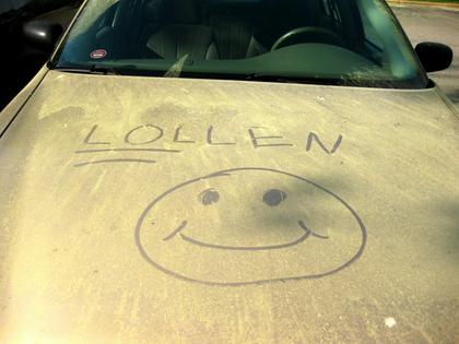 Pollen on a car hood offers a sense of just how much pollen can get into the air.
              Scott Akerman/Flickr, CC BY