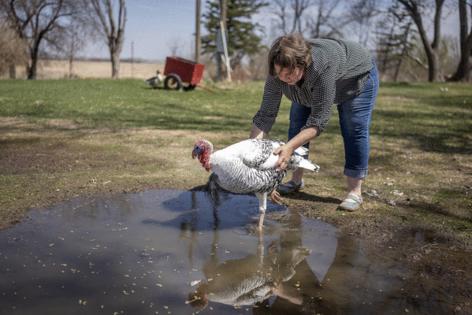 Elizabeth Flores/The Minnesota Star Tribune/TNS