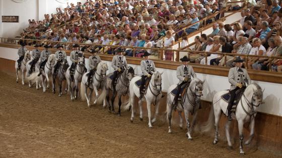 At the Royal Andalusian School of Equestrian Art in Jerez, Spain, horses perform an equestrian ballet with choreography and costumes from the 19th century. (Dominic Arizona Bonuccelli, Rick Steves' Europe)
