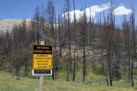 The East Troublesome Fire burned nearly 200,000 acres. Years later, the area is still recovering.
              Jim West/UCG/Universal Images Group via Getty Images