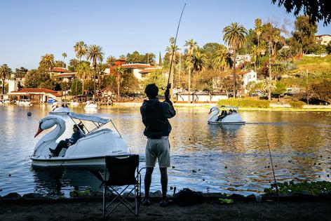 A person fishes in Echo Lake in Los Angeles.
              Jason Armond / Los Angeles Times via Getty Images