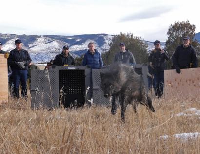 Colorado Parks and Wildlife/TNS