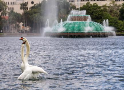 Joe Burbank/Orlando Sentinel/TNS