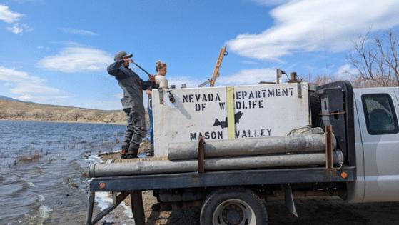 Nevada Department of Wildlife/TNS/TNS