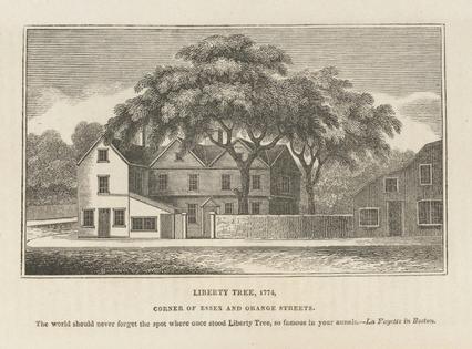William Billings owned a tannery near the Liberty Tree in Boston, a rallying point for revolutionaries.
              AC8 Sn612 825h, Houghton Library, Harvard University via Wikimedia Commons