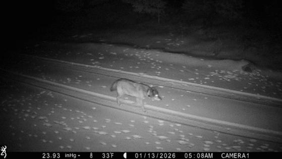 California Department of Fish and Wildlife/TNS/TNS