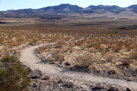K.M. Cannon/Las Vegas Review-Journal/TNS