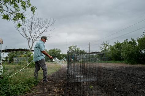 Samuel Alaniz waters his garden at his home on May 7, 2026, in Robstown, Texas, which gets its drinking water from Corpus Christi.
              Brandon Bell/Getty Images