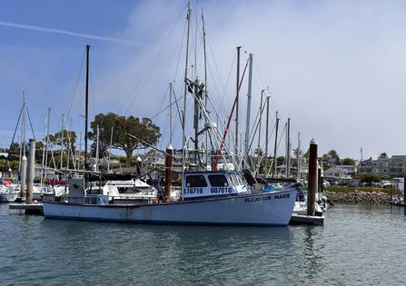 California’s ocean salmon fishery reopened in May 2026 after a three-year closure. River fishing for Chinook salmon is also reopening, but at different times in 2026.
Eric Palkovacs