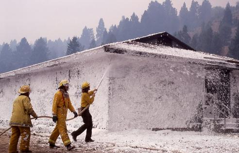 The PFAS in firefighting foam are suspected to be significant occupational health hazards.
              Jim Peaco/Yellowstone Digital Slide Files