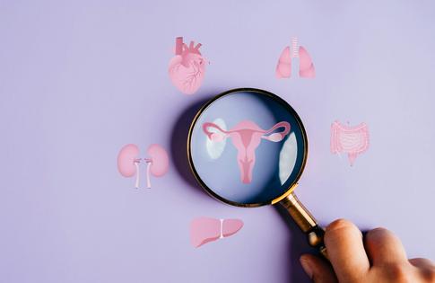 PMOS affects multiple organ systems beyond the ovaries. champpixs/iStock via Getty Images Plus
